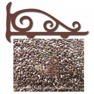 Semente de Chia (Granel - Preço/100g)